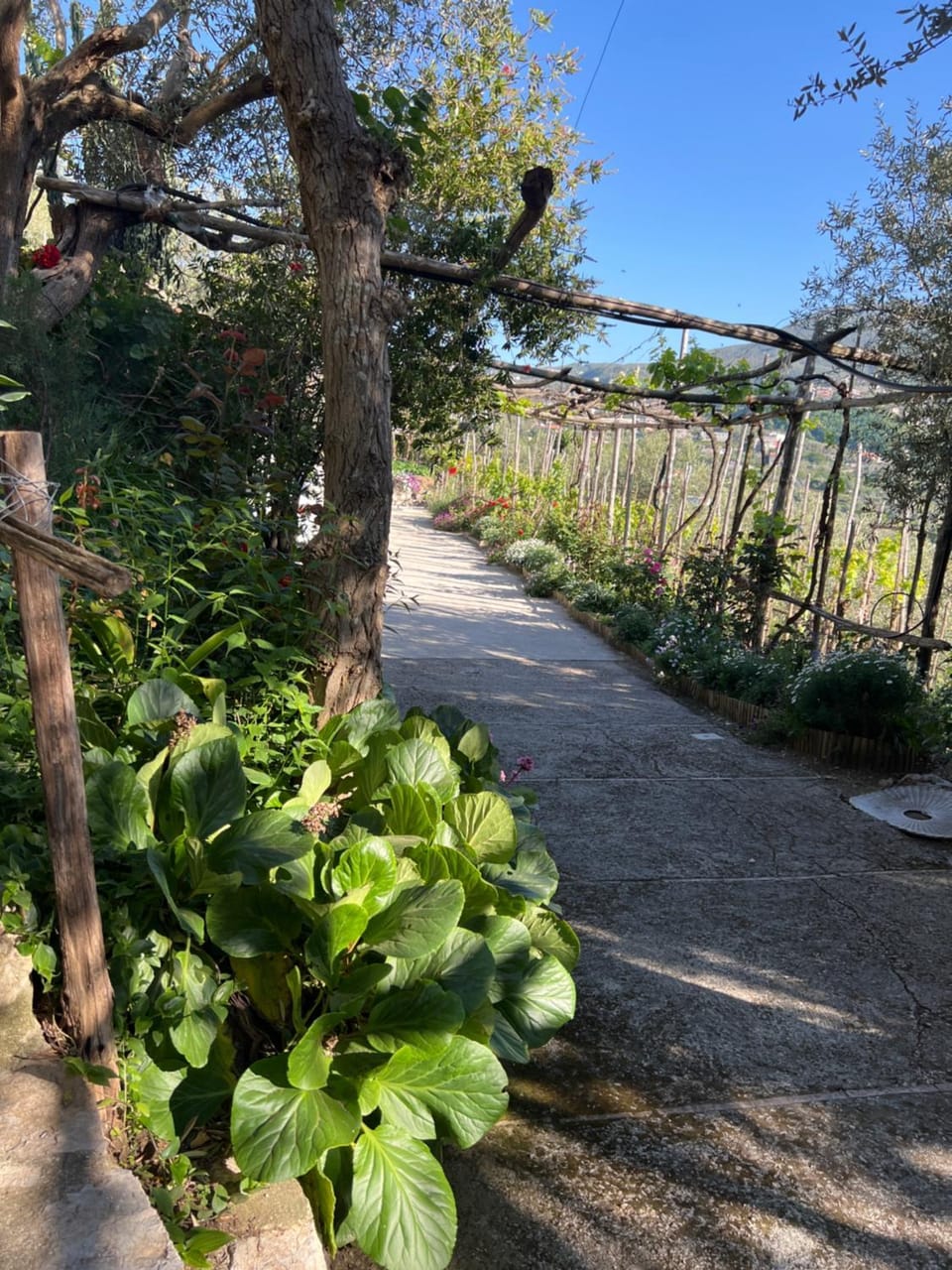 La Petra House in Campania