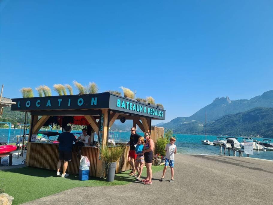 Appartement Apartment in Doussard