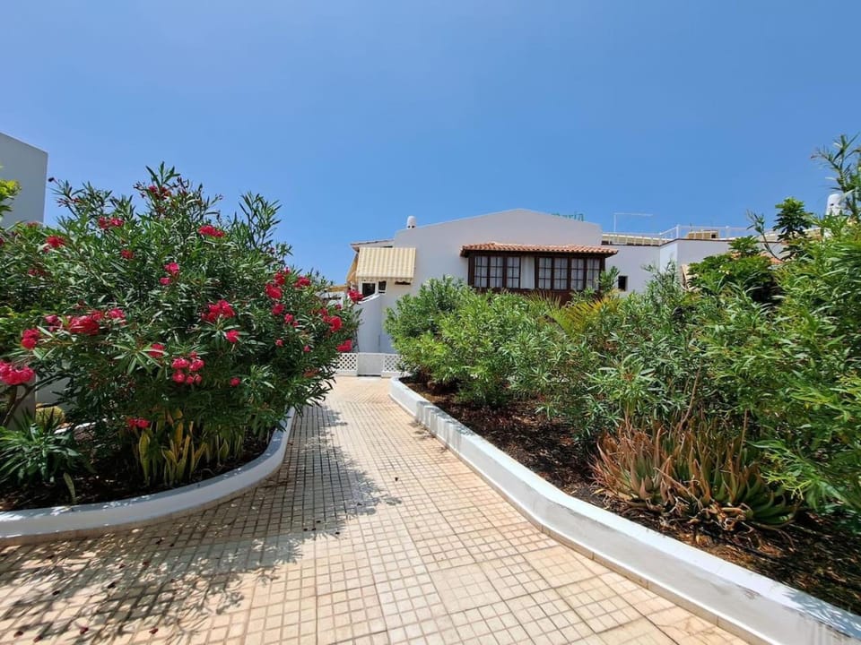 Day, Garden