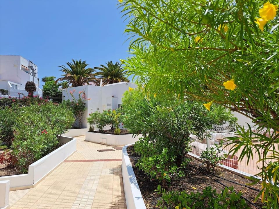 Day, Garden
