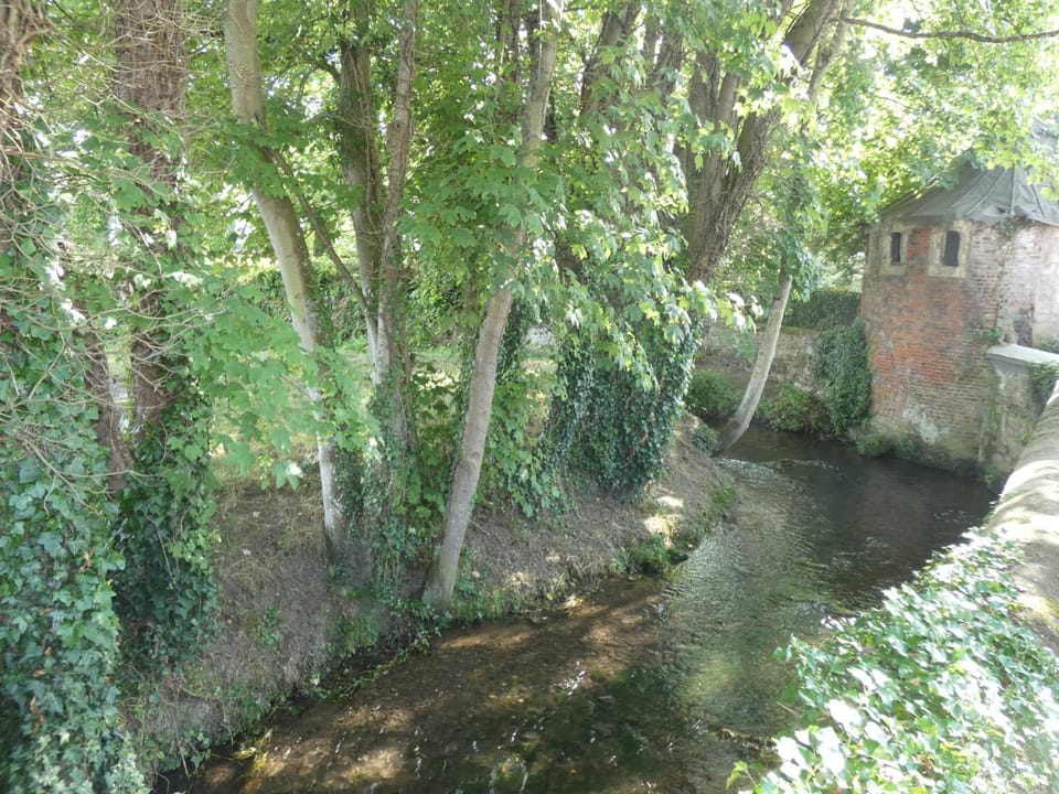 Natural landscape