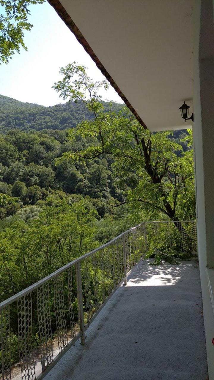 Spring, Day, Natural landscape, View (from property/room), Balcony/Terrace, Mountain view