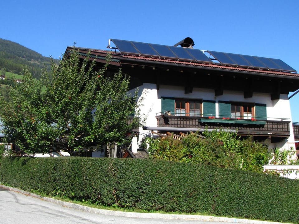 Property building, Summer