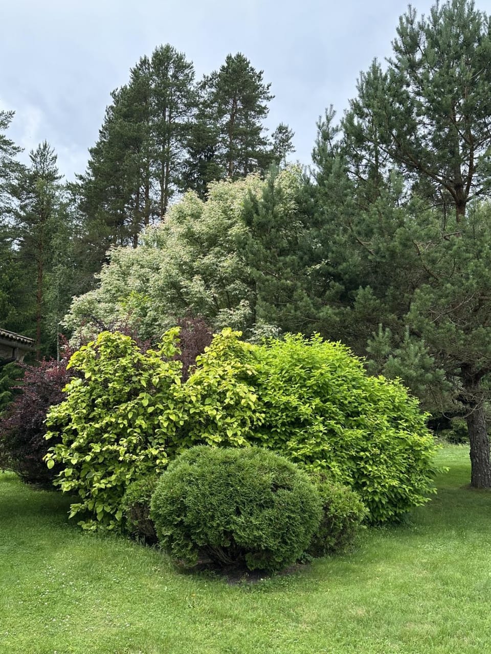 Garden view