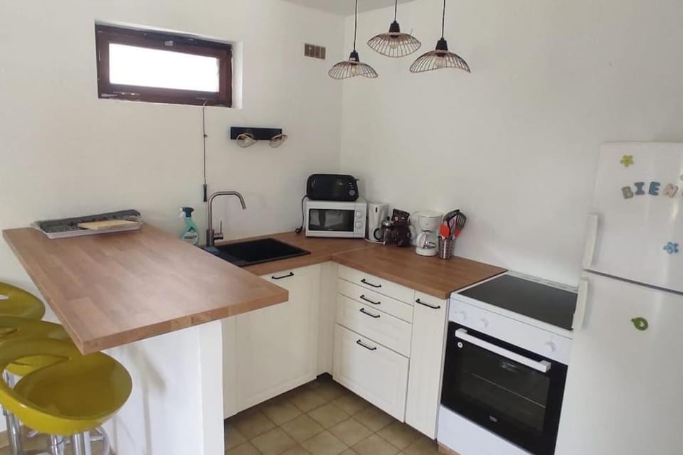 Kitchen or kitchenette, dishwasher, minibar, pet friendly, stove