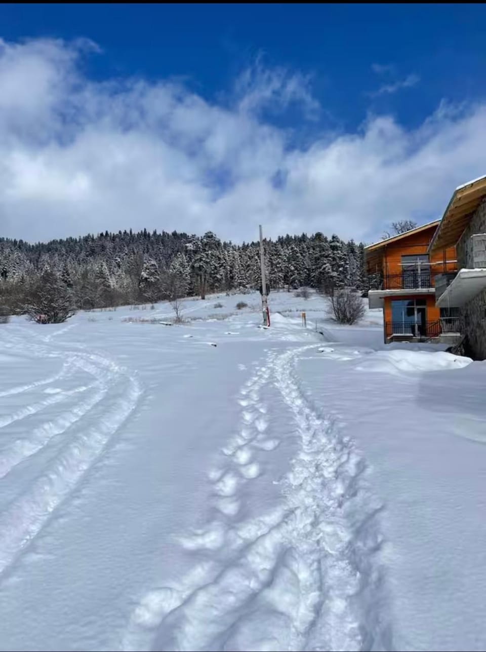 Luxury Villa in the heart of Bakuriani Villa in Georgia