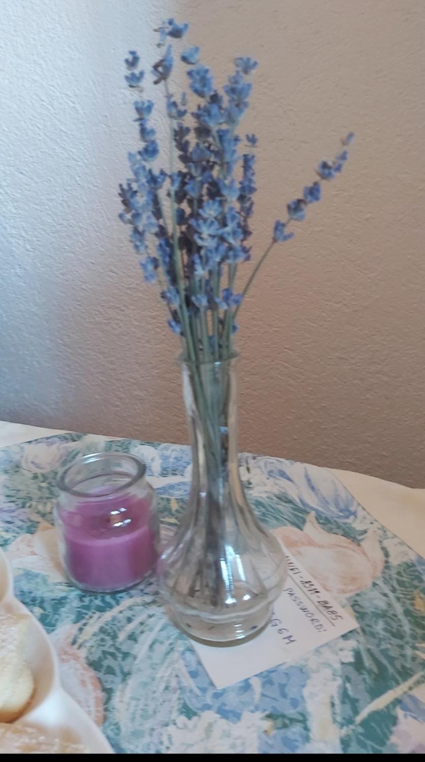 Apartmani Mira Stijepovic Apartment in Montenegro