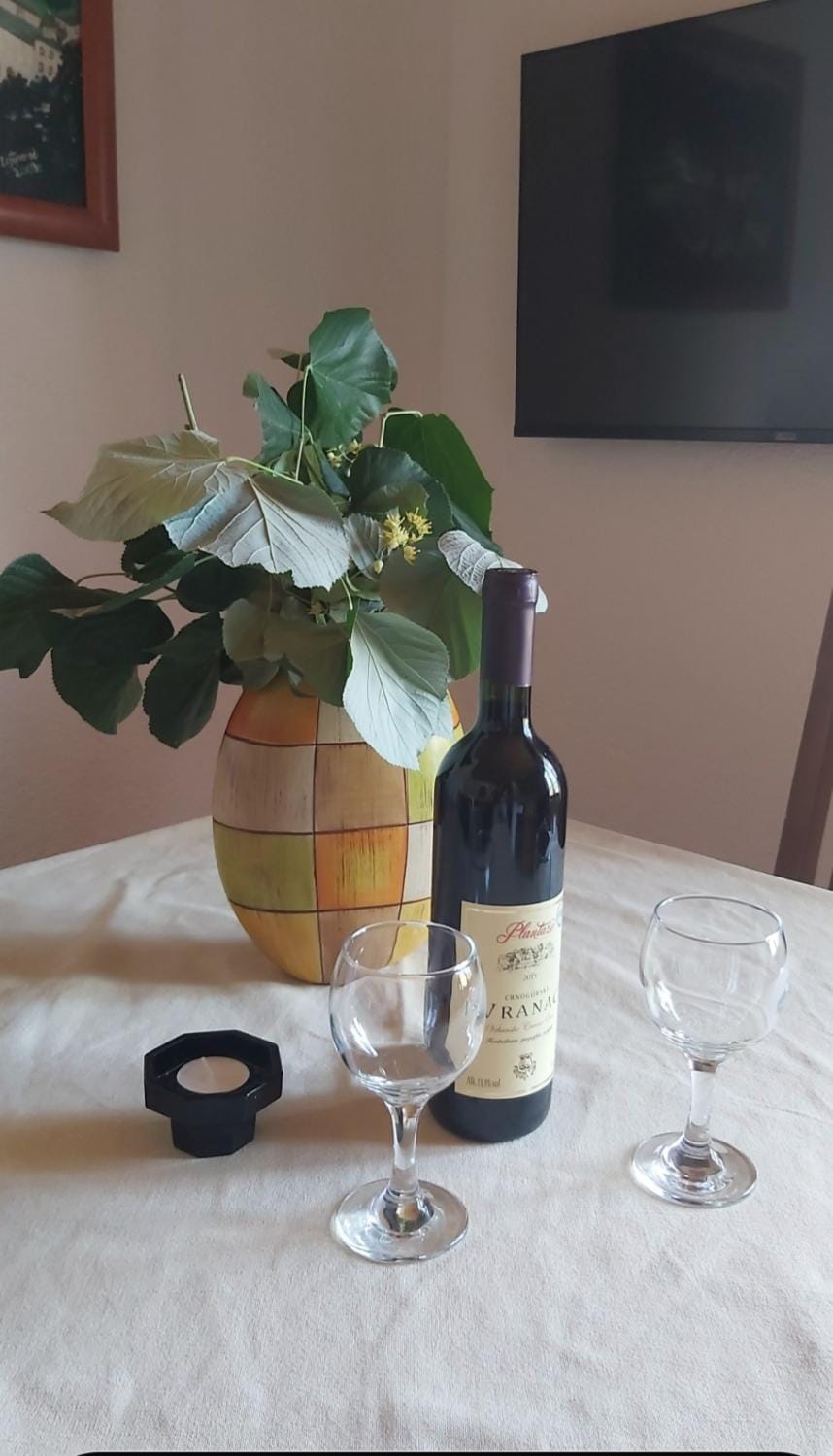 Apartmani Mira Stijepovic Apartment in Montenegro