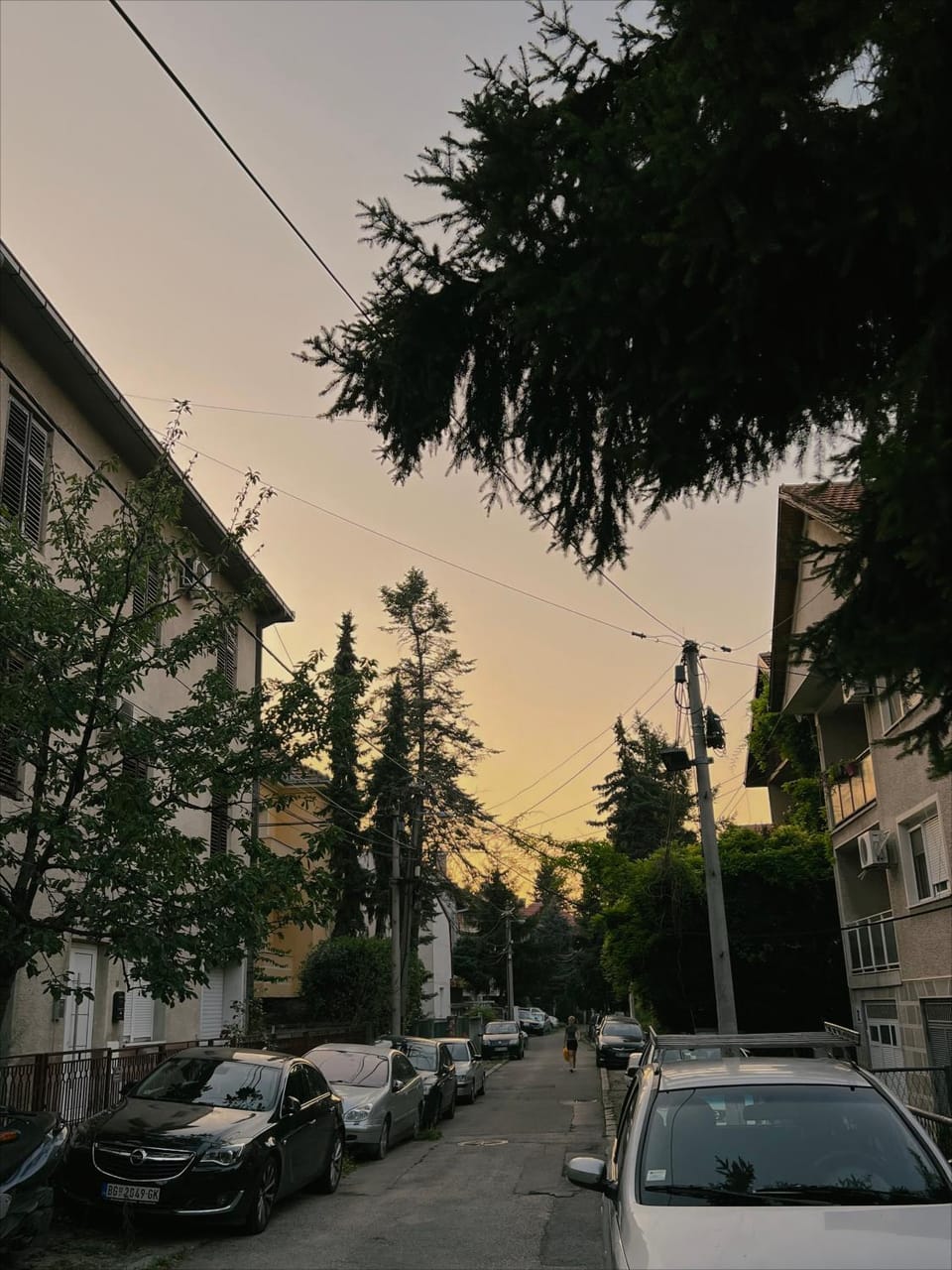 Day, Neighbourhood, Street view, Location