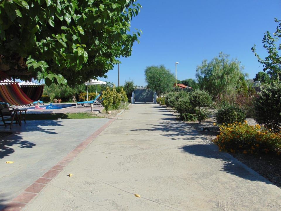 Patio, Garden, Swimming pool