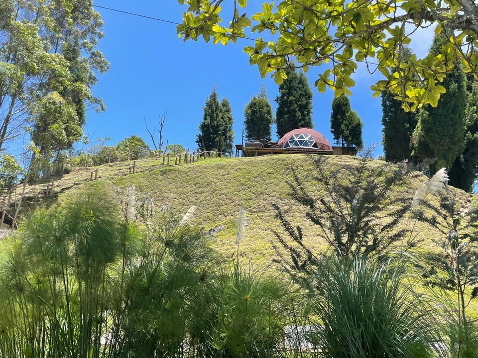 Entre-pinos Glamping WiFi Vista 360º Luxury tent in Antioquia