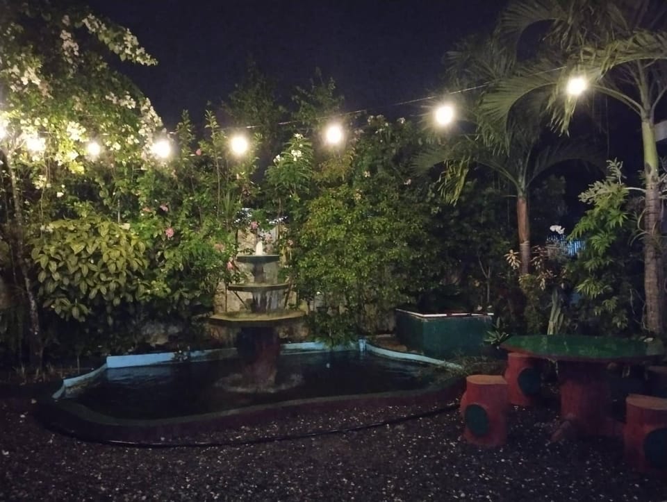 Night, Garden, Garden view