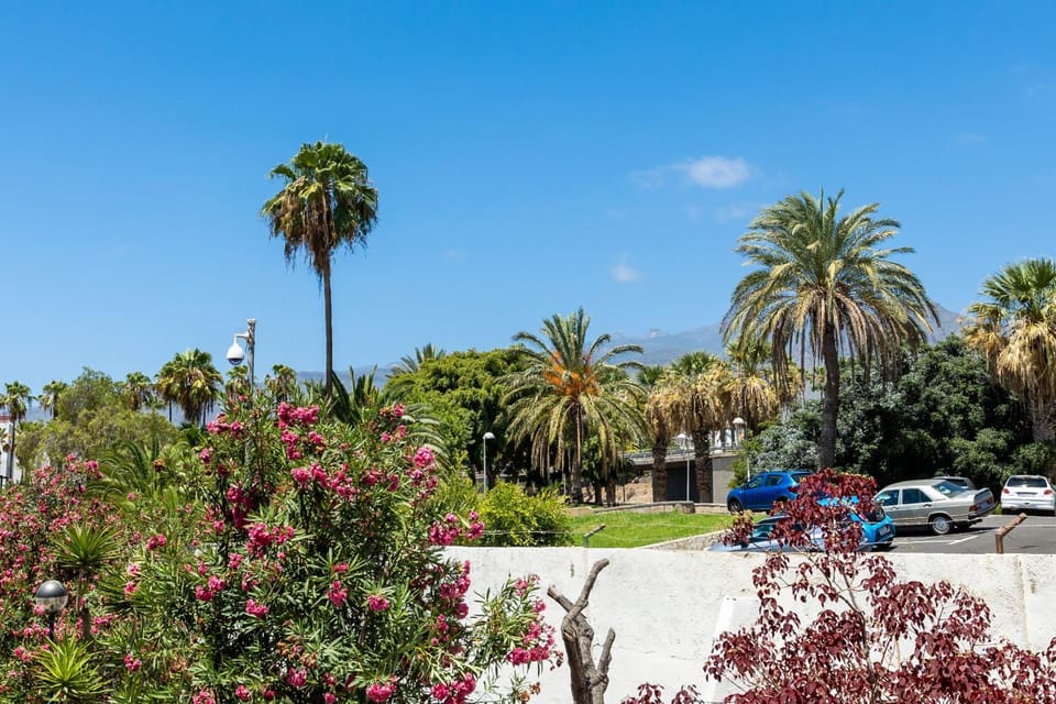 Natural landscape, Garden