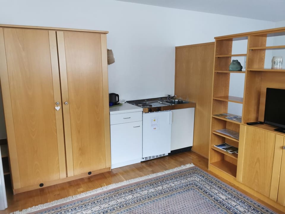 TV and multimedia, Kitchen or kitchenette, stove, wardrobe