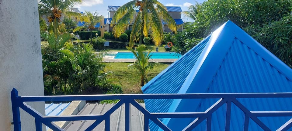 Day, Pool view, Swimming pool