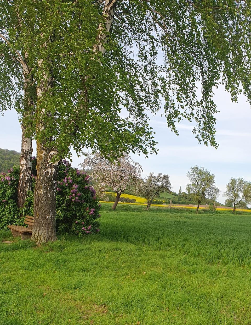 Spring, Off site, Natural landscape