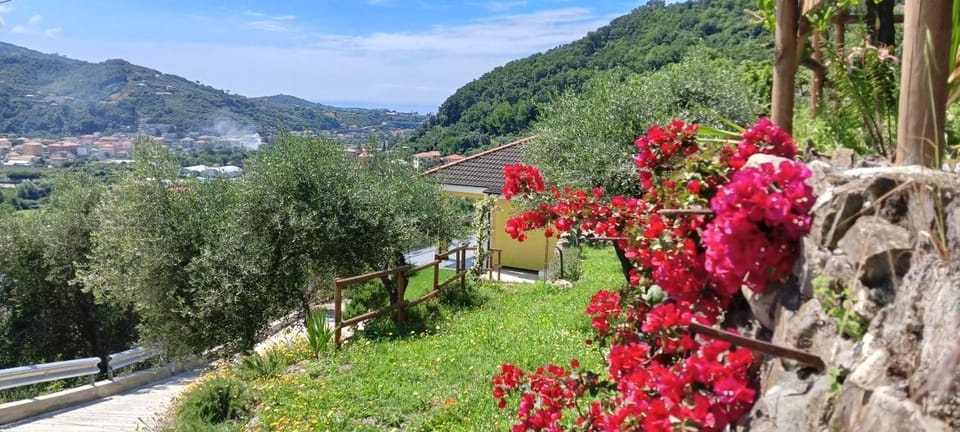 Property building, Day, Natural landscape, Summer, Garden, Garden, Garden view, Garden view, Landmark view, Seasons, Family, acessibility