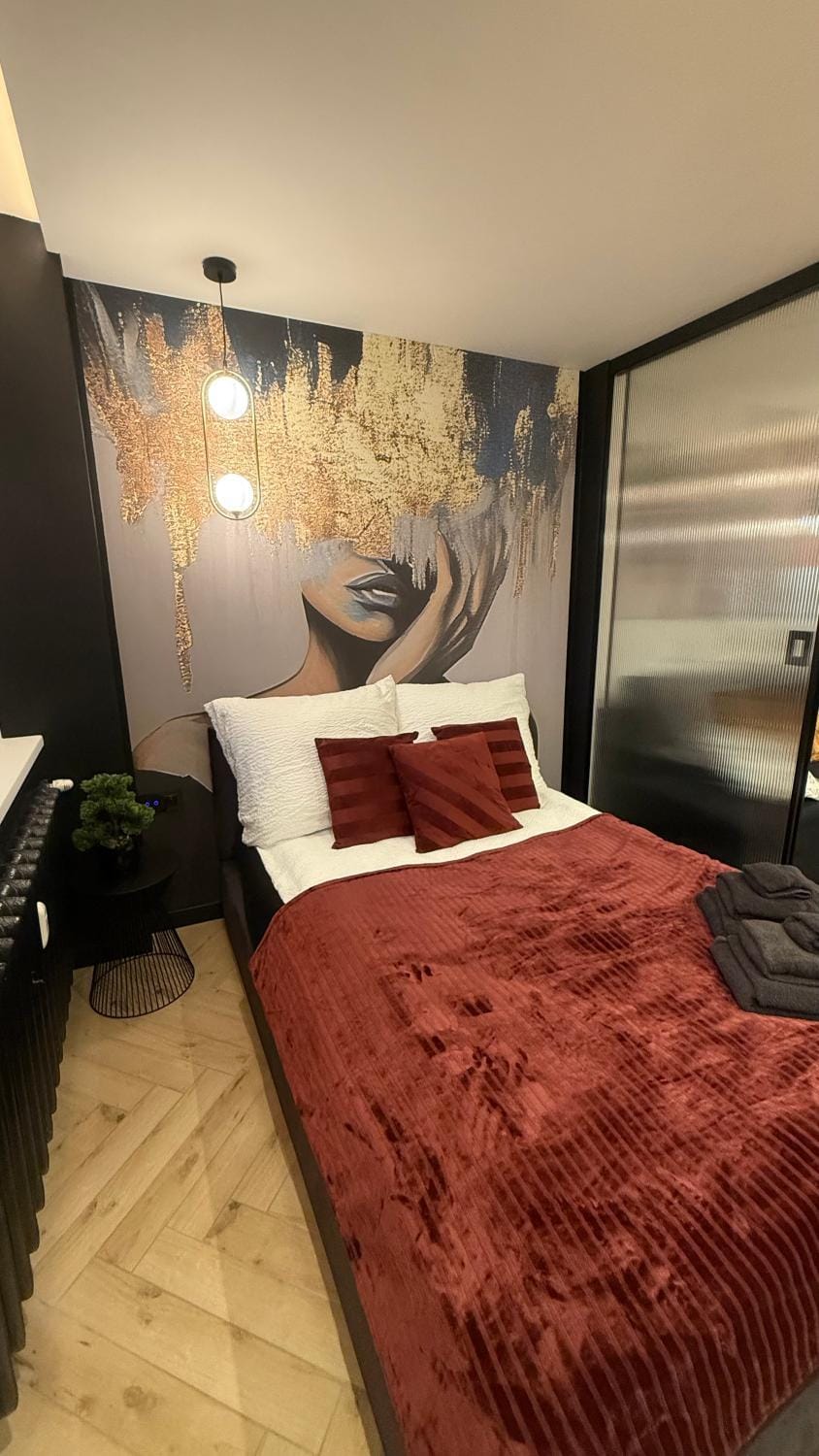 Apartament Centrum Ligota Apartment in Poland