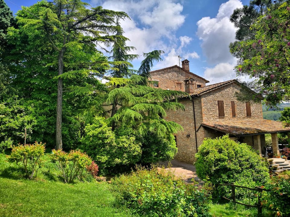Property building, Other, Garden view