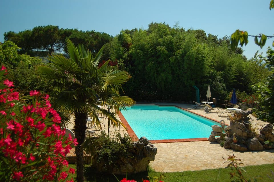 Swimming pool, Swimming pool