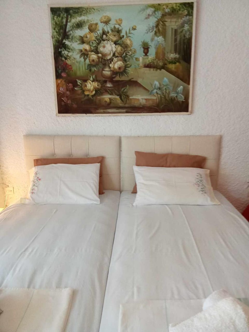 Palm mountain view &no sea view Apartment in Halkidiki