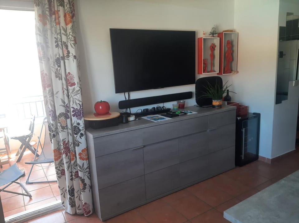 TV and multimedia
