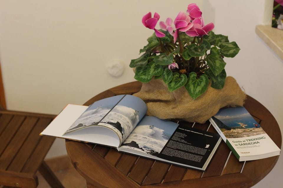 Fiori e Limoni Bed and Breakfast in Quartu Sant'Elena