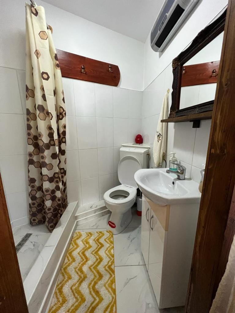Casa Corina Apartment in Romania