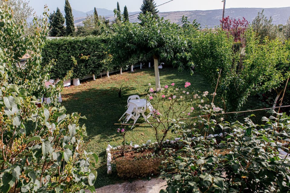 Garden, Garden, Garden view