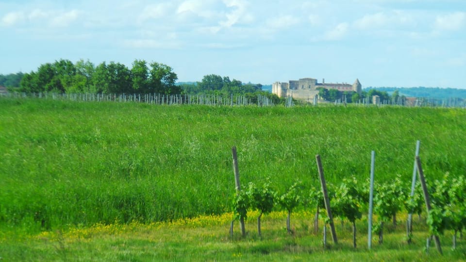 Natural landscape
