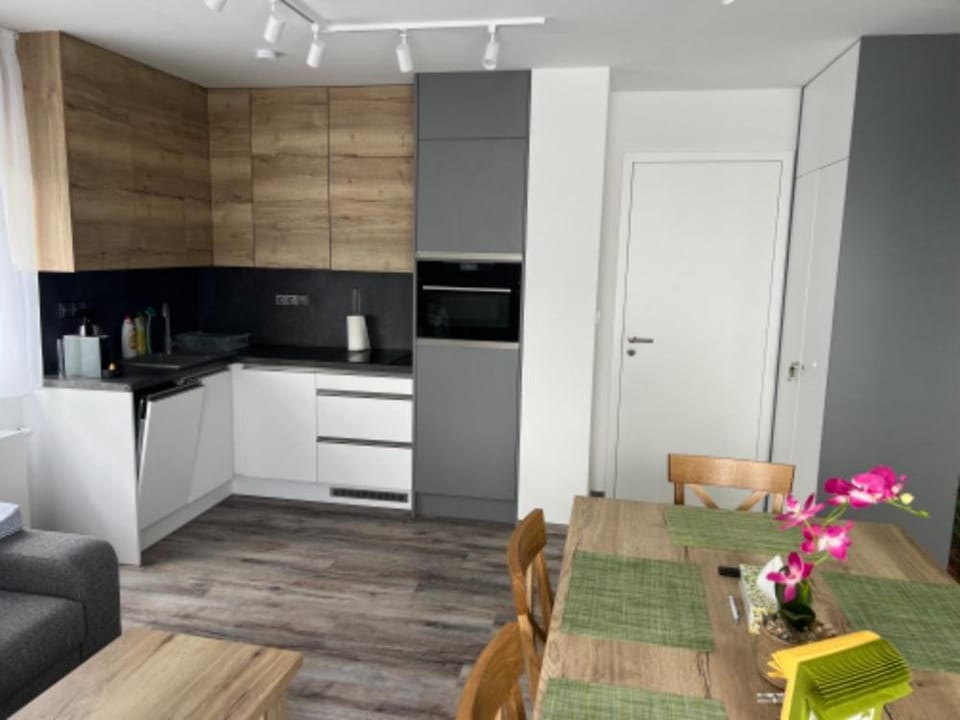 Kitchen or kitchenette, Dining area, minibar, pet friendly, stove