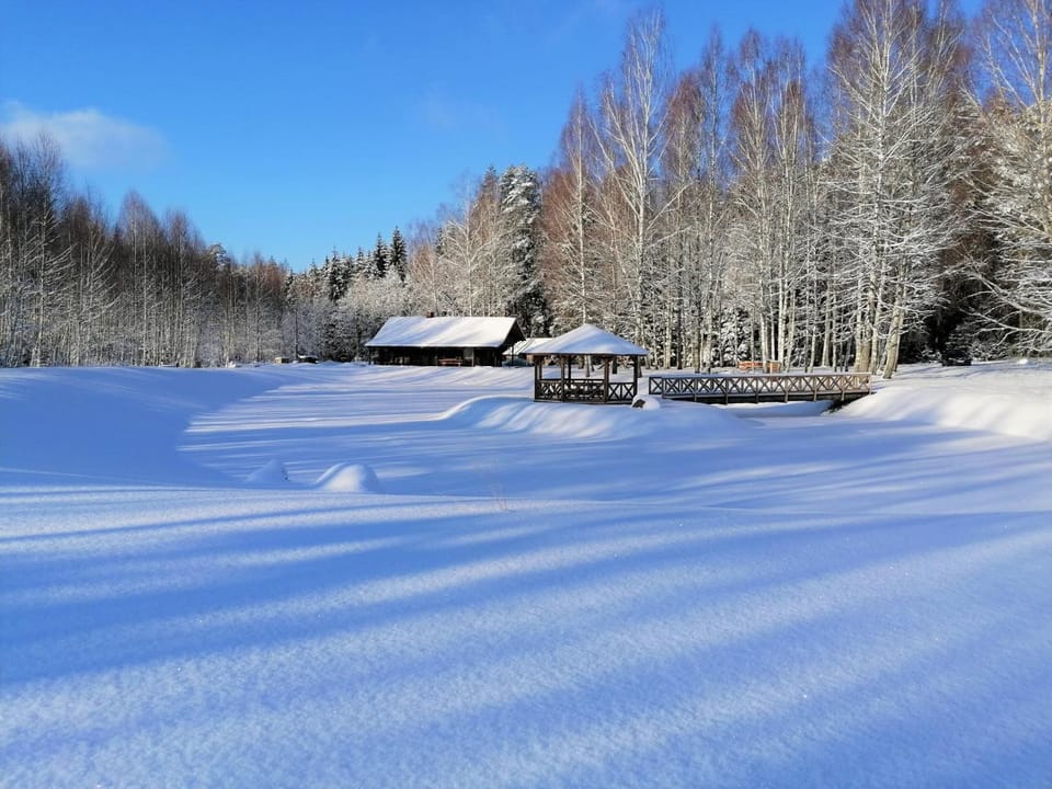 Property building, Winter