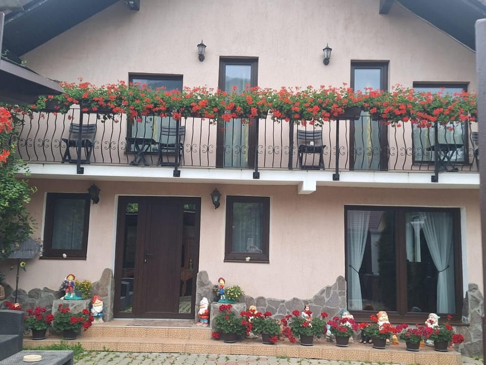 Casa Meresanu Bed and Breakfast in Brașov County