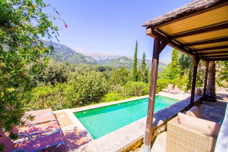 Pool view, Swimming pool, sunbed