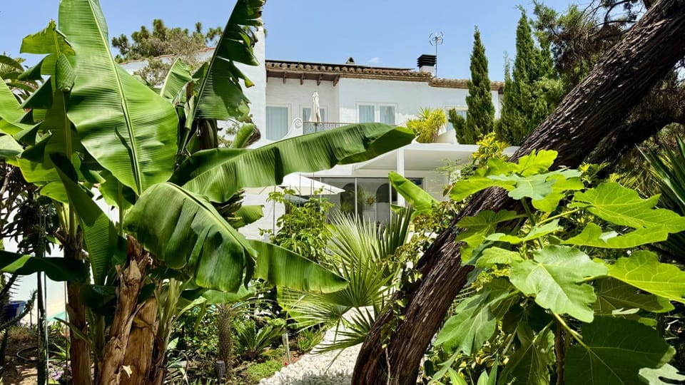 Property building, Garden, Garden view