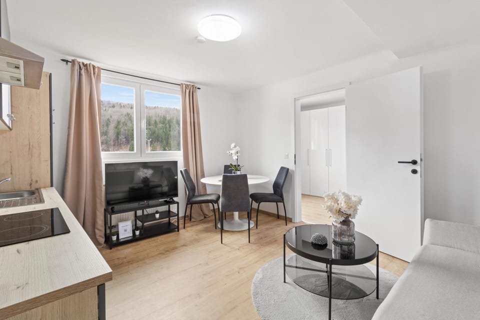 Communal lounge/ TV room, TV and multimedia, Kitchen or kitchenette, Living room, Seating area, Dining area, Evening entertainment