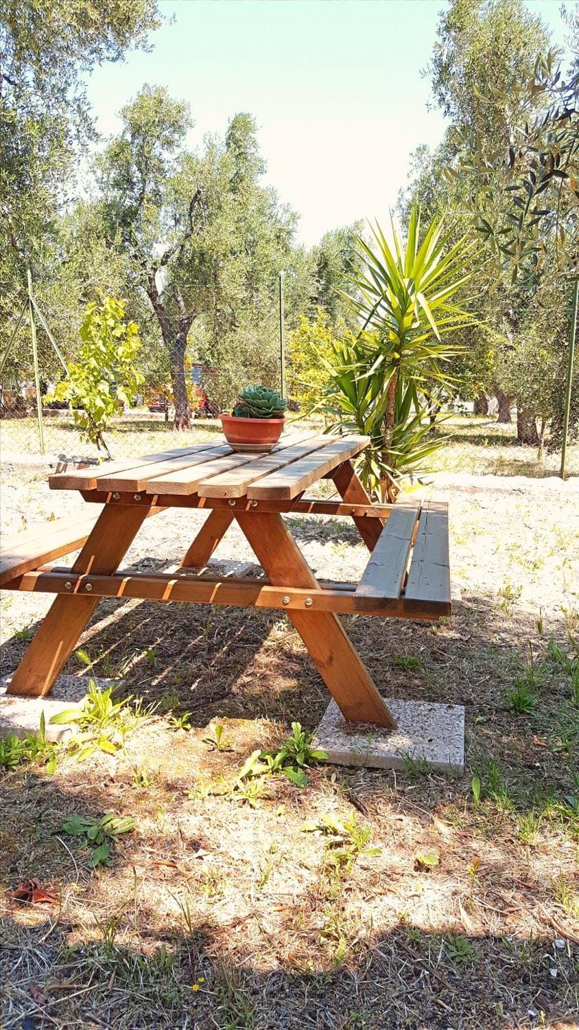 Day, Children play ground, Garden, On site, Entertainment