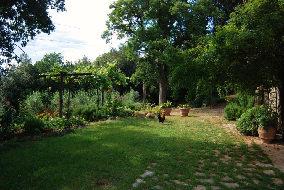 Agriturismo I Sassi Grossi Country House in Umbria