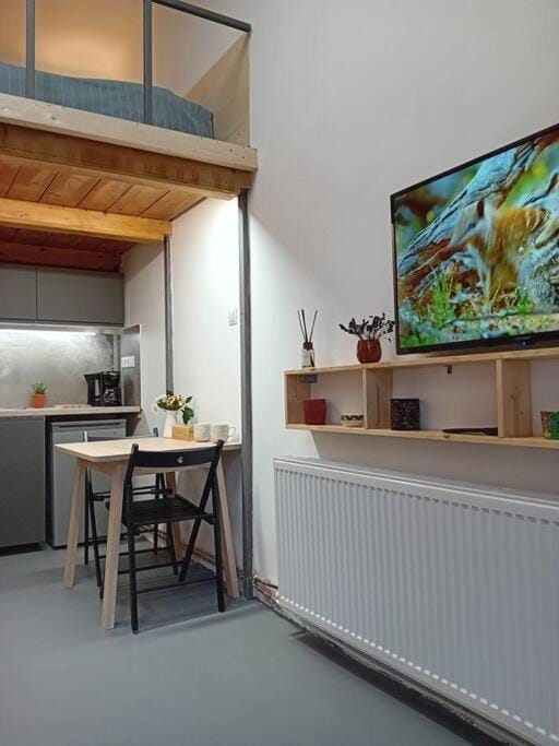 Ferdinand Art Studio Apartment in Cluj-Napoca