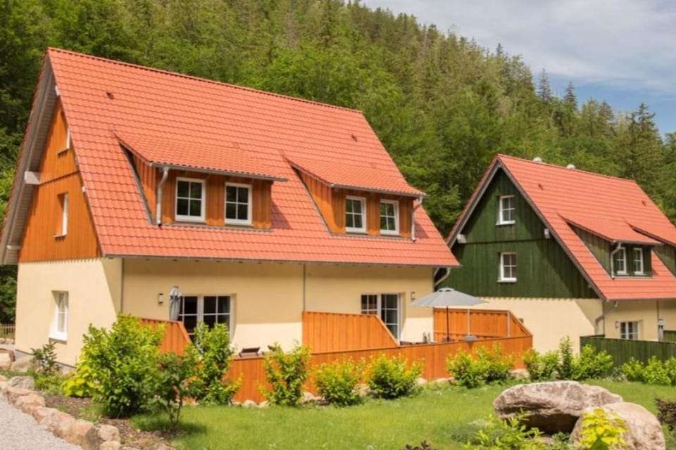 I 1-1 Ferienhäuser Ilsestein Doppelhaus, 100 qm, 3 Schlafzimmer House in Wernigerode