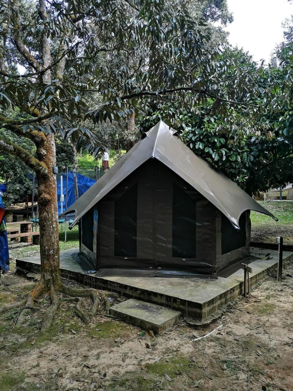 Property building, Day
