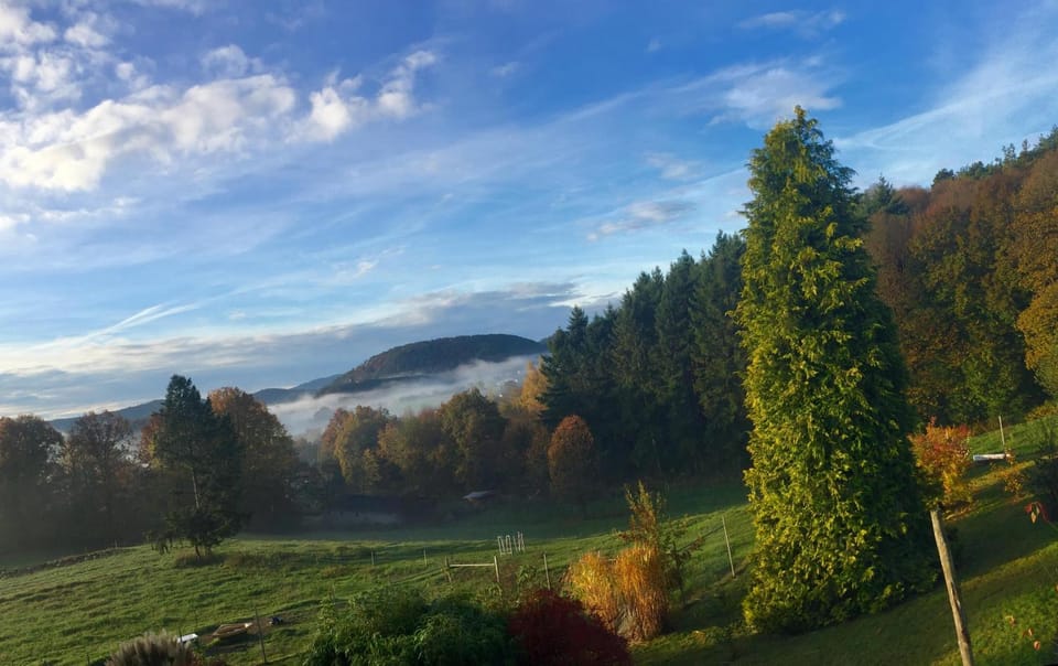 Josefshof Farm Stay in Rhineland-Palatinate
