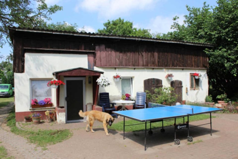 Heidi Apartment in Zinnowitz