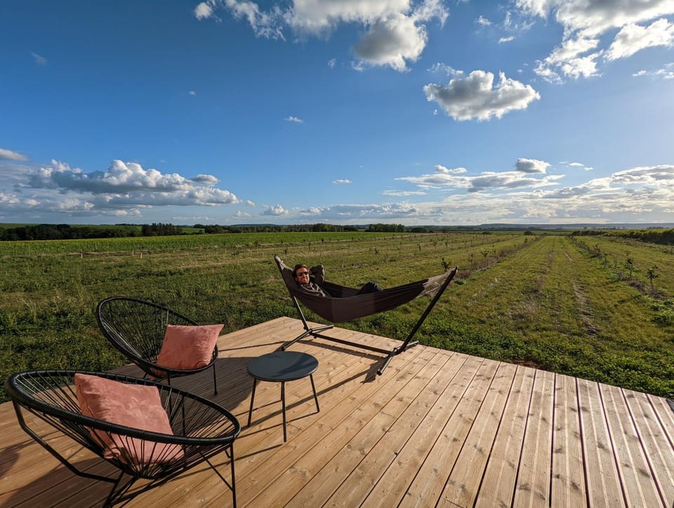 Patio, Spring, Day, Natural landscape, Garden, Garden view, Entertainment, sunbed