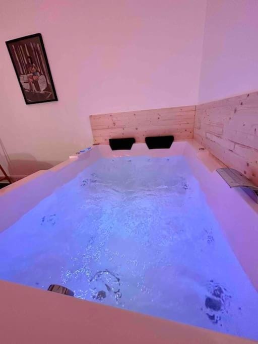 A0 Grand Appartement, Jaccuzi, et extérieur Thermal Artem à 200m Apartment in Nancy