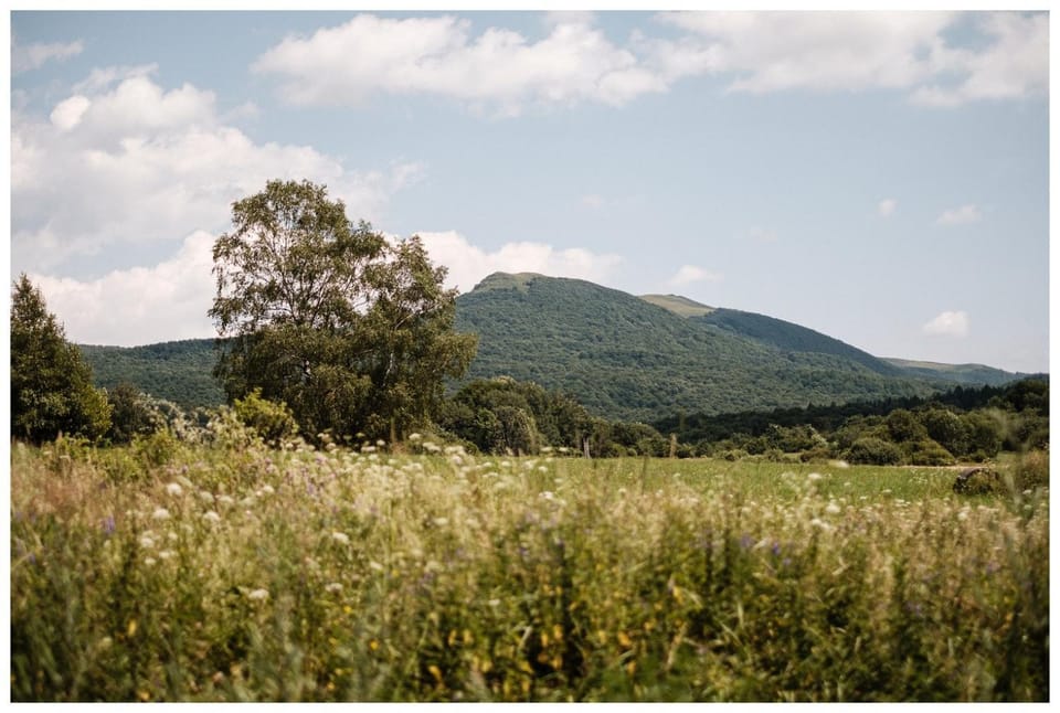Mountain view