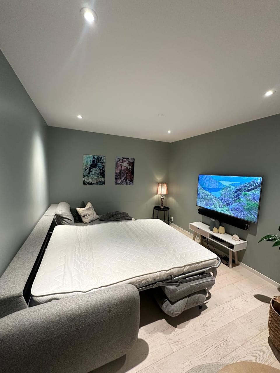 Communal lounge/ TV room, Bed, TV and multimedia