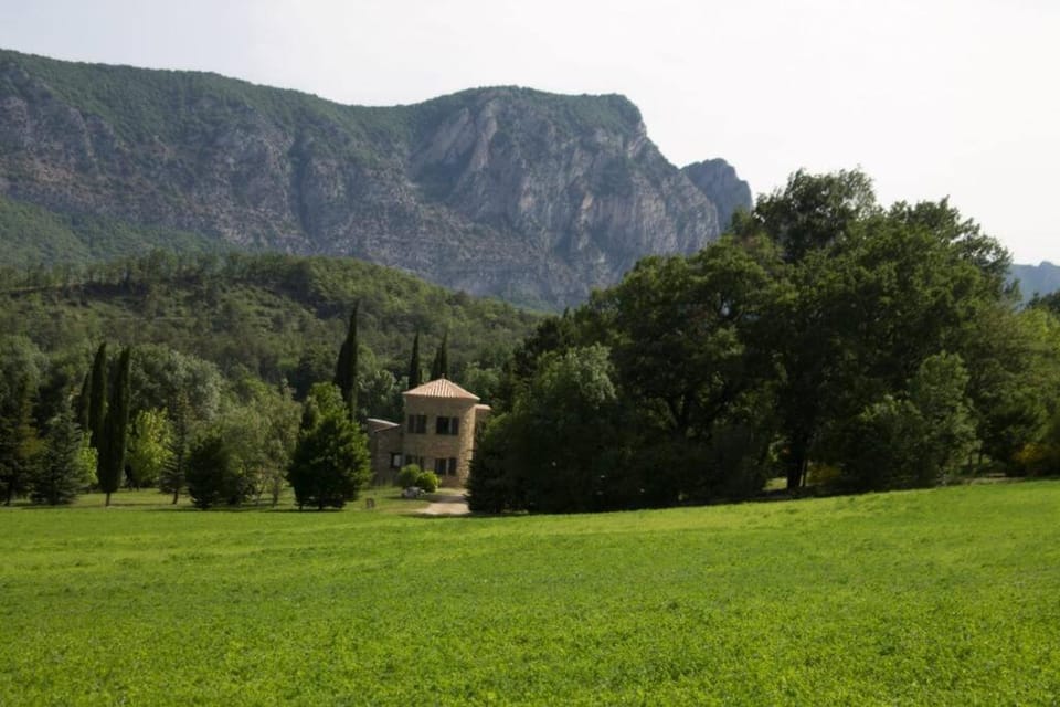 Magnifique maison en pierre avec piscine Villa in Provence