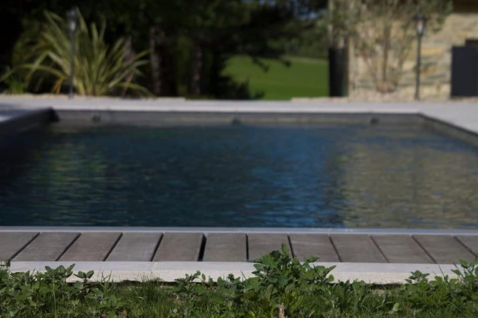 Magnifique maison en pierre avec piscine Villa in Provence