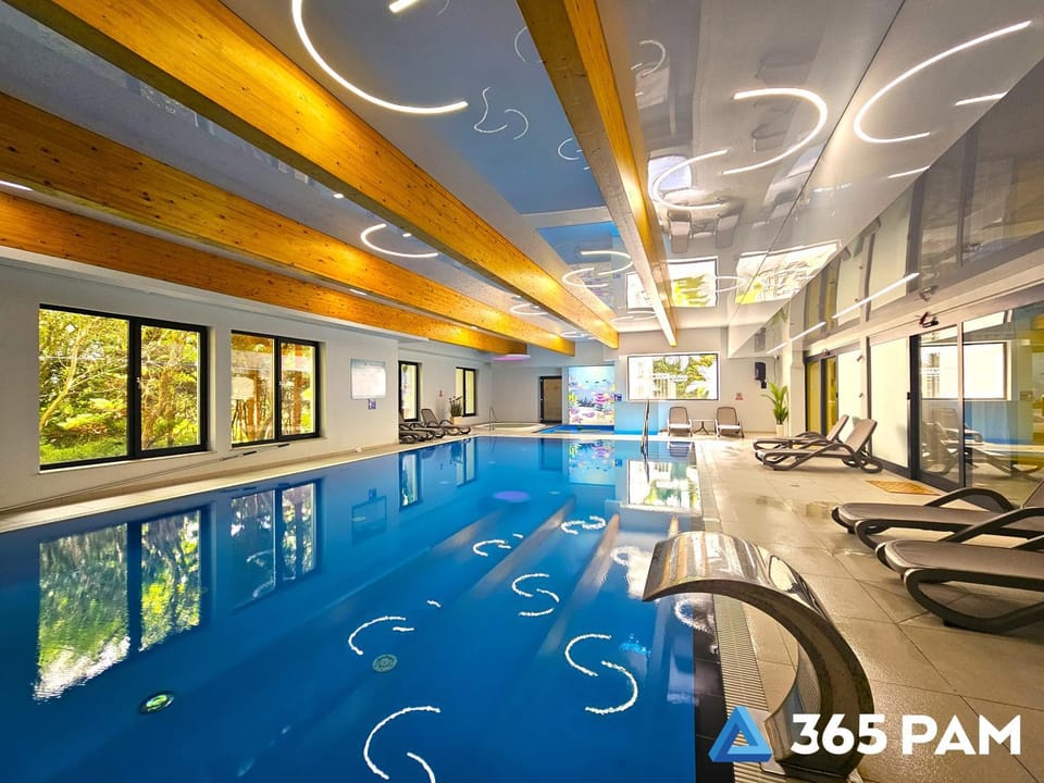 Swimming pool, sunbed